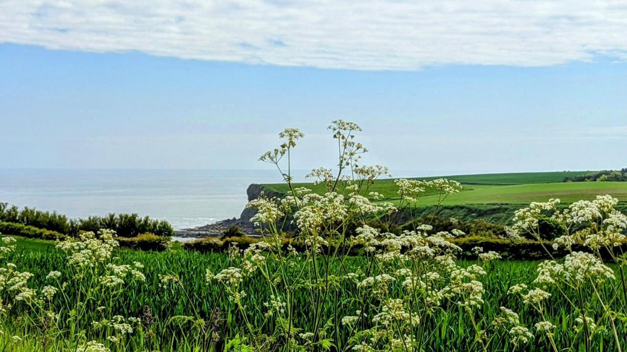 Cober Hill Hotel Scarborough Eksteriør billede